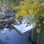 Foto: Dimitrii Artamov